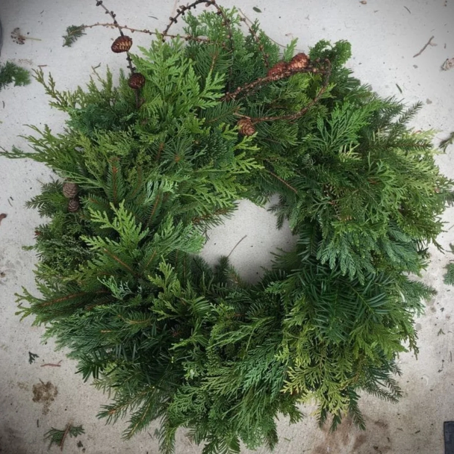 Cornite-simple1 Coronite Simple de Craciun din Brad Natural - Model 7 - Dimensiune 40 - 50 cm 1