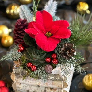 Decoratiuni de Craciun - Model 3 - Dimensiune 15 - 20 cm 1