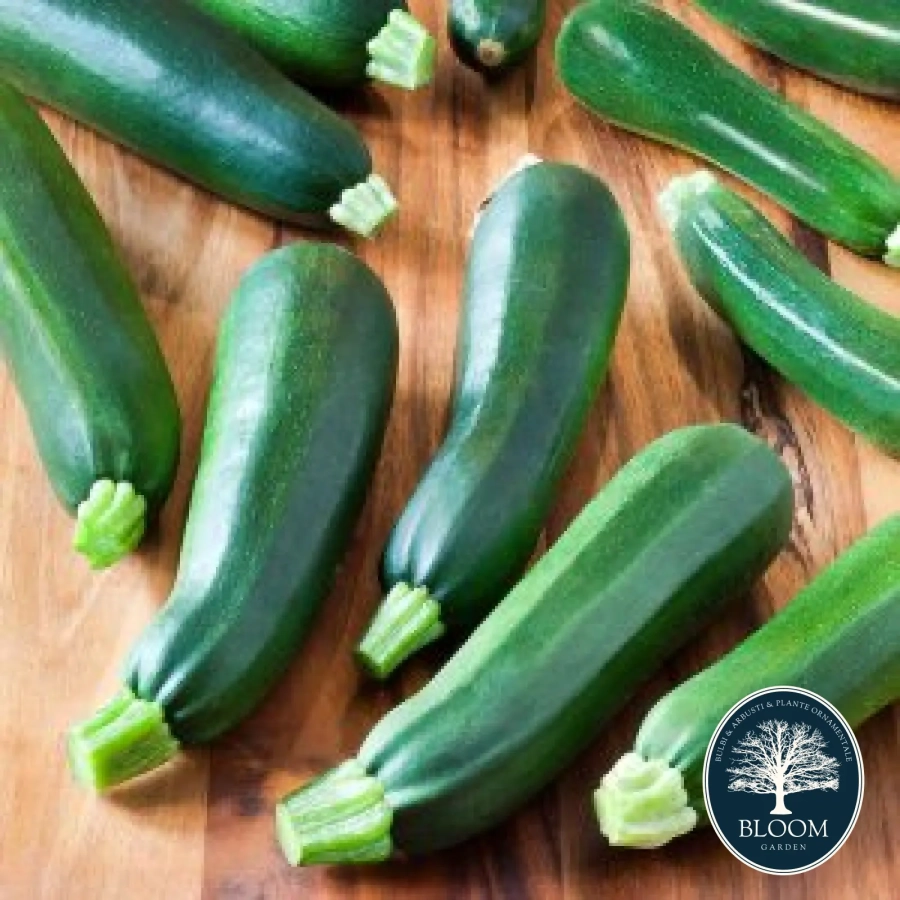 Dovlecel-Zucchini Seminte Dovlecel Zucchini 1