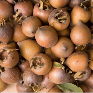 Pomi fructiferi - Mosmon radacina impachetata 1