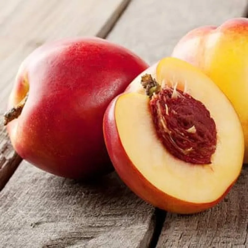 Nectarin-Orlando Pom fructifer - Nectarin Orlando 1