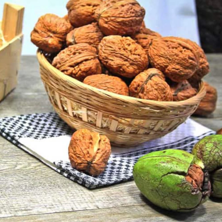 Nuc-Carpatica Pom Fructifer - Nuc Carpatica 1