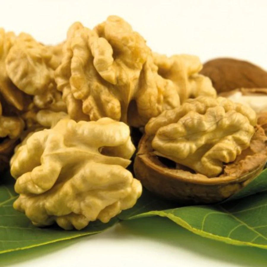 Pom fructifer - Nuc Chandler 2