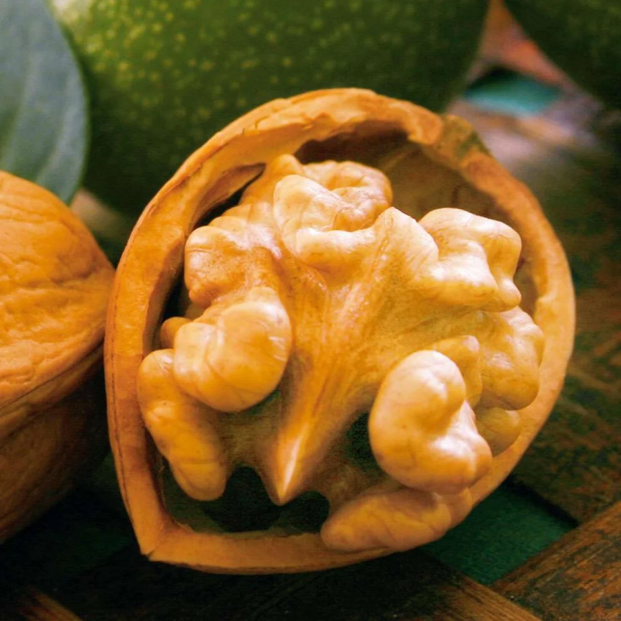 Pom Fructifer - Nuc Ovata 2