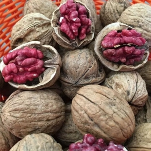 Pom Fructifer - Nuc Rubin 1