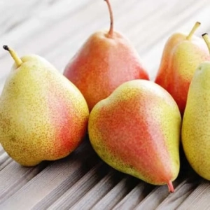 Pom Fructifer - Par Santa Maria ( 20 bucati ) 1