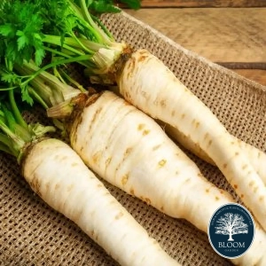 Seminte Patrunjel Radacina 1