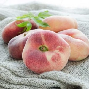 Pom Fructifer - Piersic Saturn ( 20 bucati ) 1