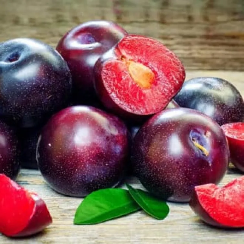 Pom Fructifer - Prun Sonic Lady ( 20 bucati ) 1