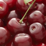 Pom fructifer - Vișin Meteor 1