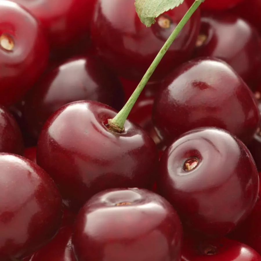 Visin-Meteor Pom fructifer - Vișin Meteor 1