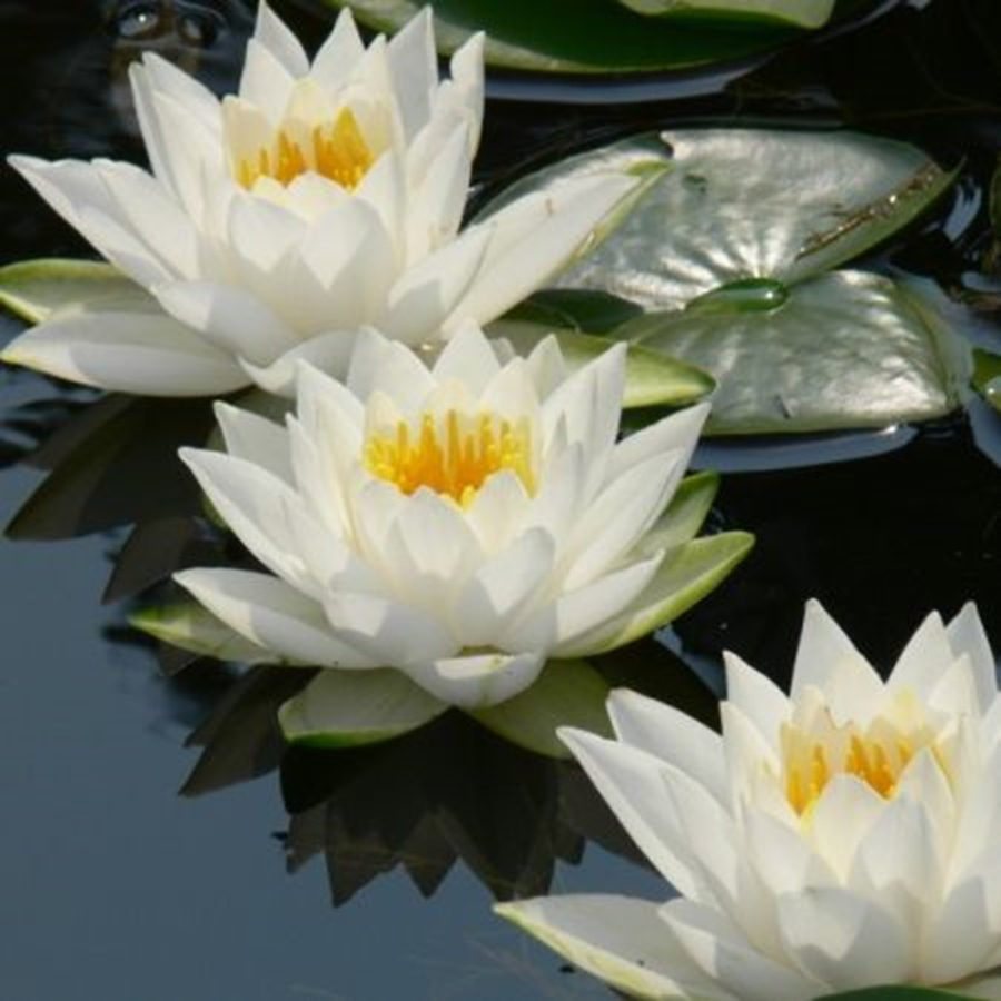 WhatsApp Image 2025-02-25 at 12.37.11