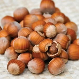 Pom fructifer - Alun Yamhill 1