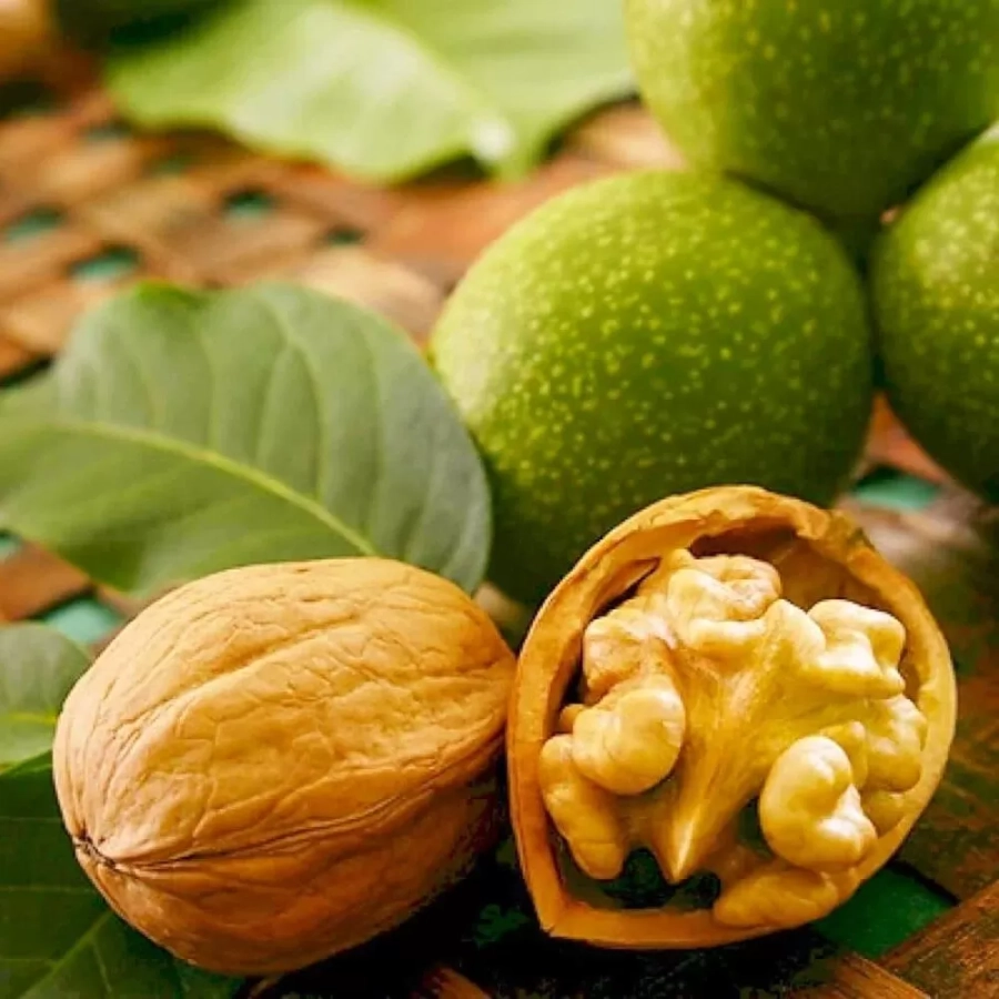 Pom fructifer - Nuc Chandler 1